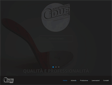 Tablet Screenshot of cidueweb.com